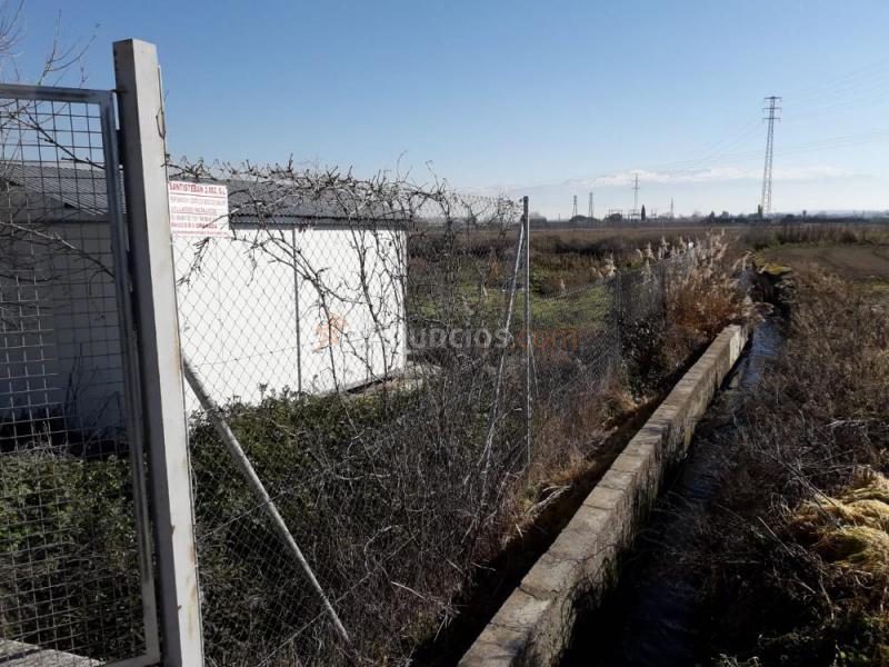 Vendo huerto fértil en la comarca de l Vega de Granada
