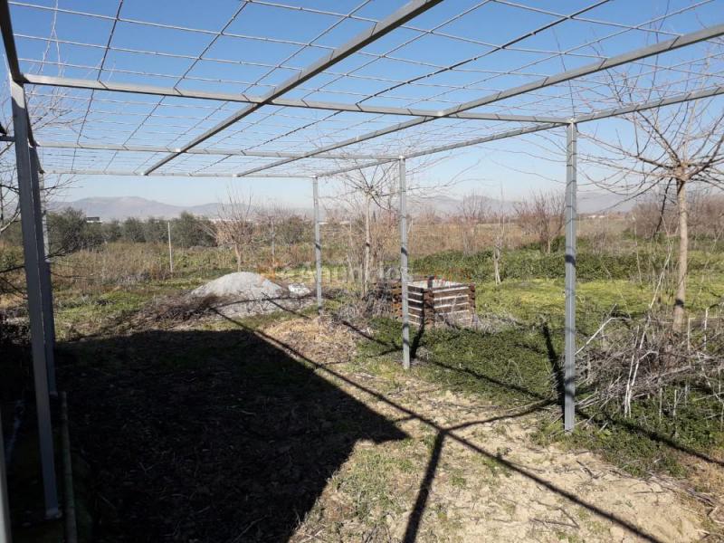Vendo huerto fértil en la comarca de l Vega de Granada