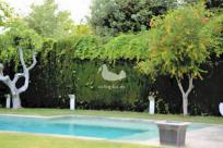 Adosado en alquiler en Calle Castillo de Aysa, Hortaleza, Madrid