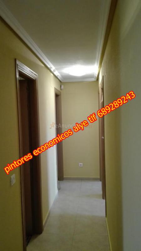 pintores economicos en valdemoro 689289243 alye