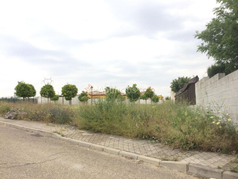 Parcela Rustica en venta en  Salteras