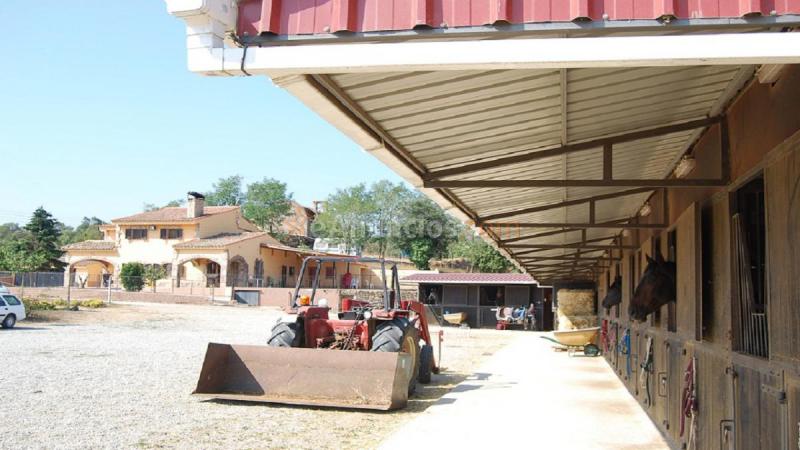 Finca ganadera (Cuenta con licencias) R0002