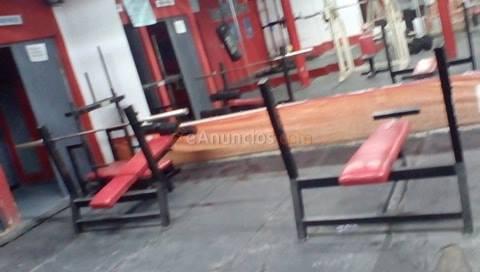 Rhinox gym revolution ponerte en forma es nuestro delir