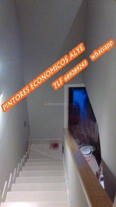 pintores economicos en seseña 689289243 alye