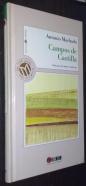 Campos de castilla