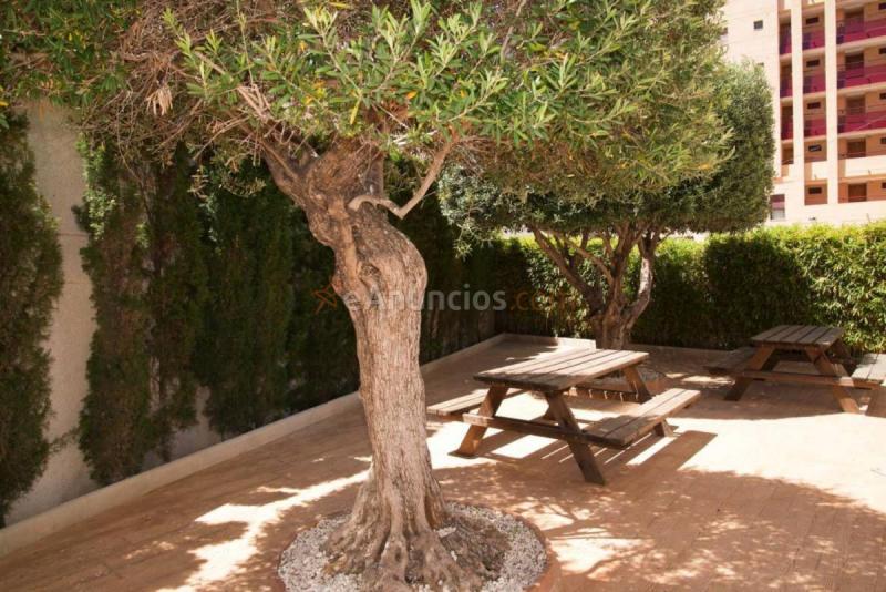 Loft en venta en Calle Castellón de la Plana, Puerto, Calpe