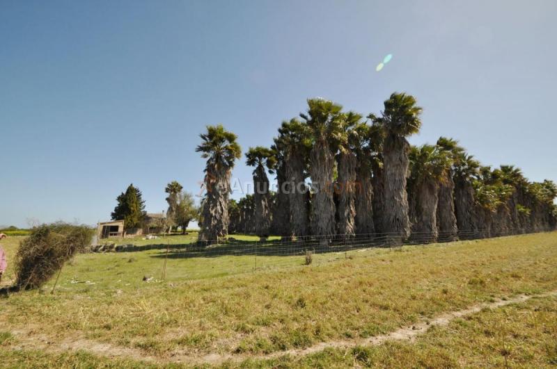 Casa Rural en venta en  Santa Margalida, Santa Margalida