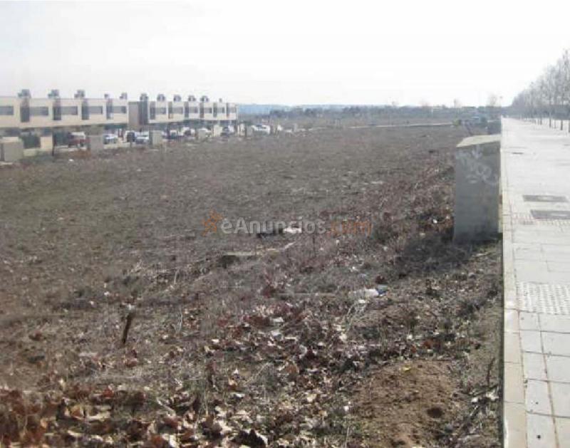 Parcela Rustica en venta en Avenida Briuega, Cabanillas del Campo