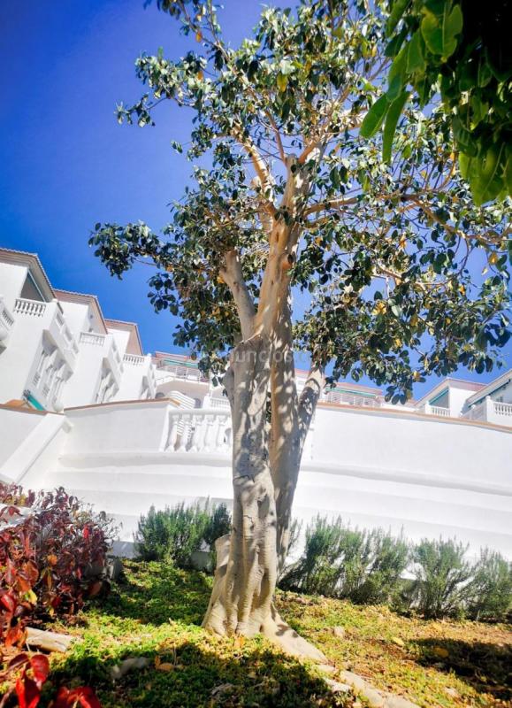 Casa en venta en Calle Balboa, Radazul, El Rosario