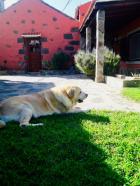 Casa Rural en venta en Camino Lomo Espino, Portada Verde-Lomo Espino-Guanche, Santa Brigida