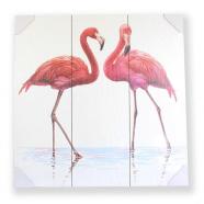Cuadro Flamencos Alessio Braco WS-603 60x60 cm