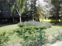 Local Comercial en venta en Calle Pío Baroja, Retiro, Madrid