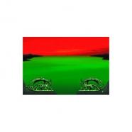 Tapete Dragon Shield Verde Y Rojo