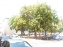 Apartamento en venta en  Carretera de Cádiz, Málaga