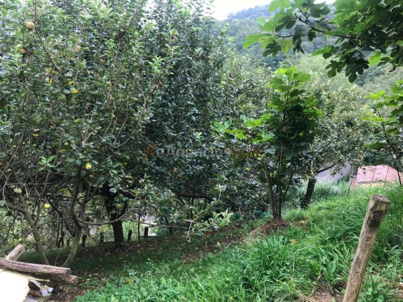 Casa Rural en venta en  Los Nadales, Requejo - Rozaes - Oñón, Mieres del Camino