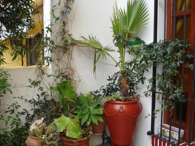 Apartamento en venta en Calle Blas de Lezo, Zona Puerto Deportivo, Fuengirola