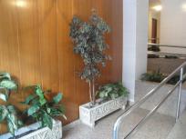 Apartamento en venta en  Sur, Gijón