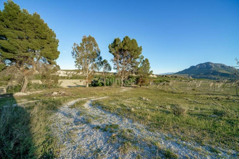 Casa Rural en venta en  Llano de los coroneles, Poligono 7 Parcela 534, Cortes de Baza