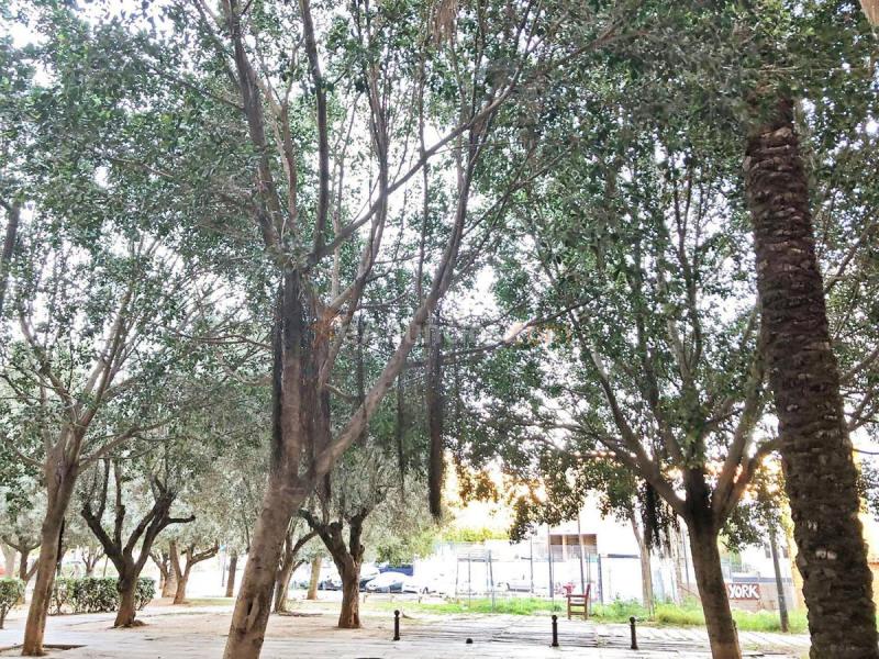 Local Comercial en venta en  La Sadia, Valncia