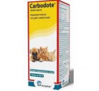 Carbodote Protector intestinal para perros y gatos. 100