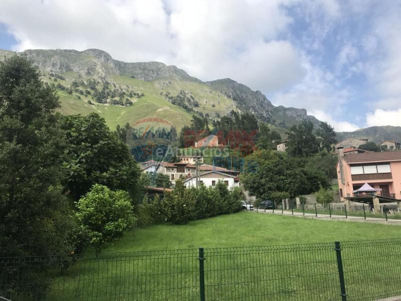 Adosado en venta en  Caserio Pumarada, Peñamellera Alta