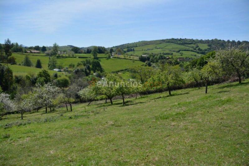 Parcela Rustica en venta en  Parroquias Norte, Siero