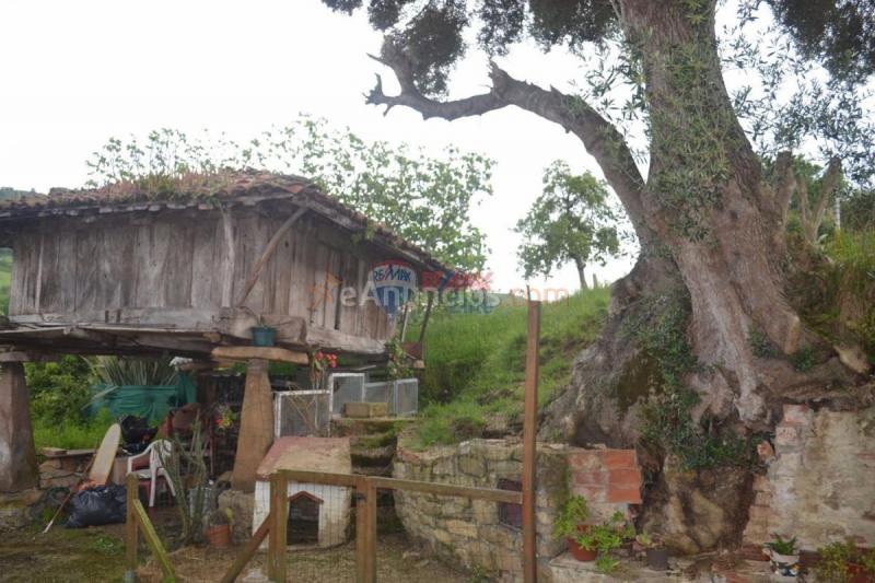 Casa Rural en venta en Camino Camino de la Vallina, Periurbano, Gijón