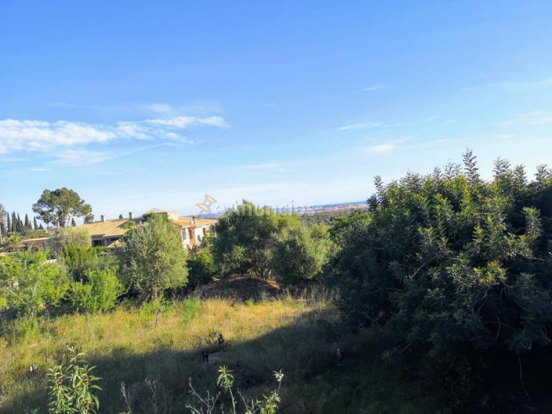 Parcela Rustica en venta en  Sa Cova baixa, Sa Cabaneta, Marratxi