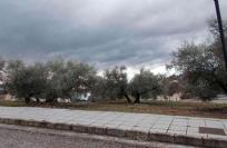 Parcela Rustica en venta en Calle Purísimo Corazón de María, Archidona