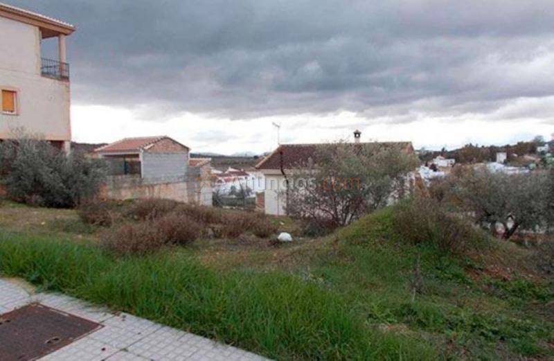 Parcela Rustica en venta en Calle Purísimo Corazón de María, Archidona