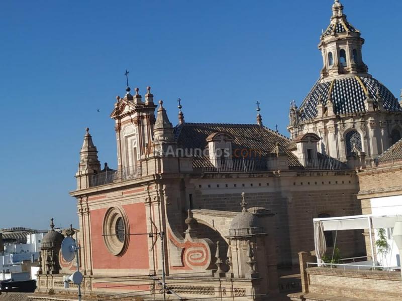 Habitaciones centro- historico de sevilla. Casa señoria