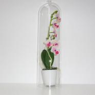 Maceta con orquídea artificial y cúpula de cristal 40 cm blanco