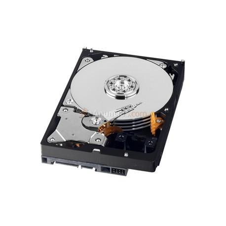 Western Digital - AV-GP 3.5 1000 GB Serial ATA III