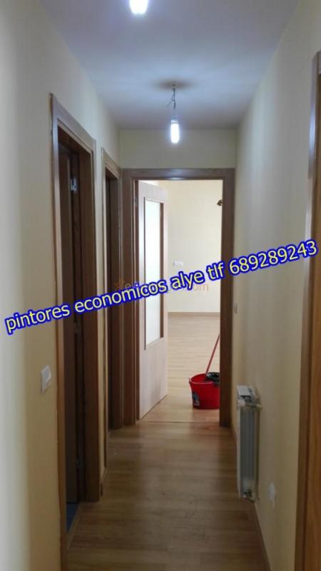pintores economicos en fuenlabrada 689289243 alye