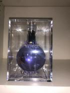 Eclait d'Arpergue edp 100 ml.