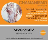 Curso chamanismo