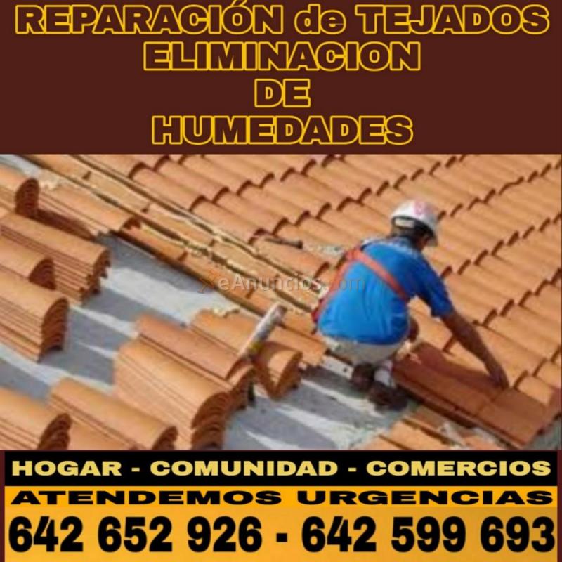 Reformas y reparaciones del hogar 642 599 693