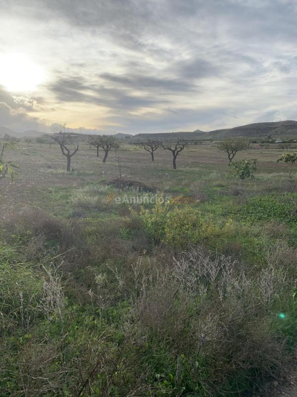 Se vende casa con terreno en cuesta blanca cartagena