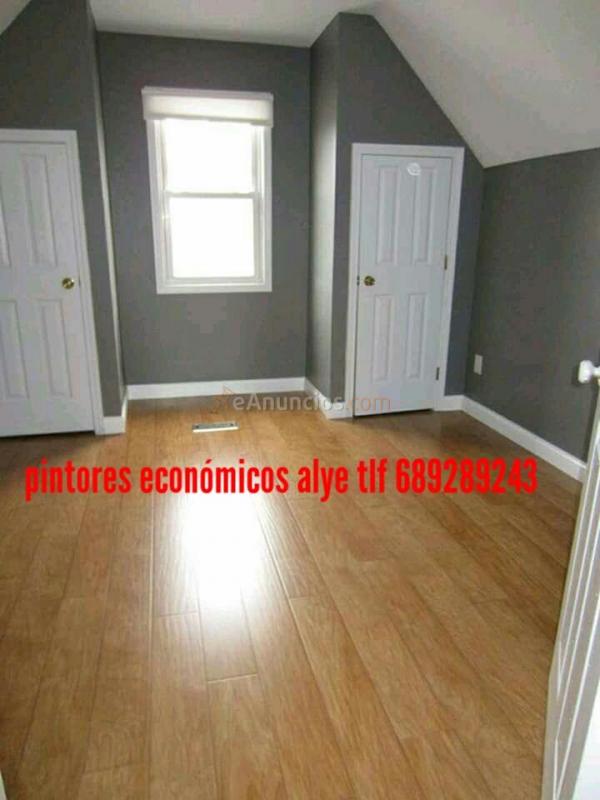 pintores economicos en alcorcon 689289243 alye