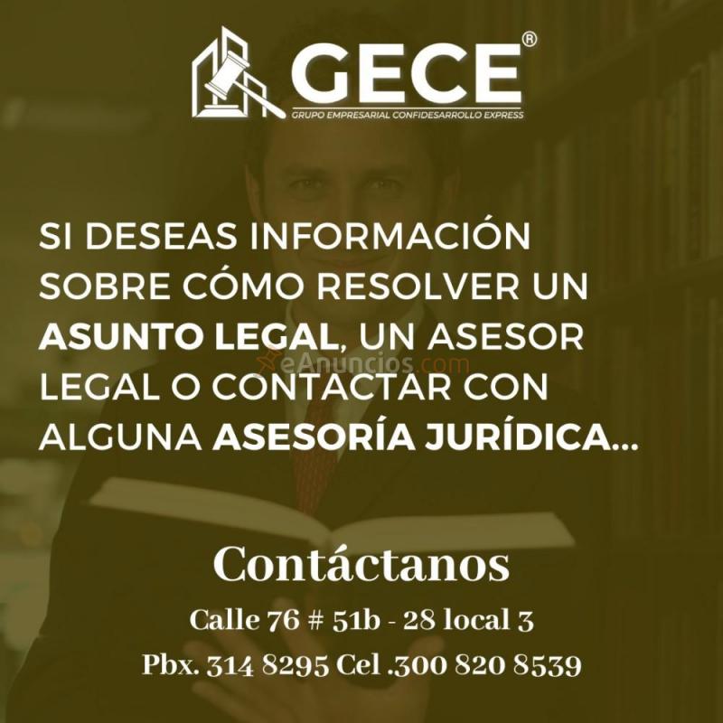 Gece especialista en plasmar la casa de tus sueños