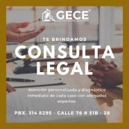 GECE grupo empresarial confidesarrollo express s.a.s.