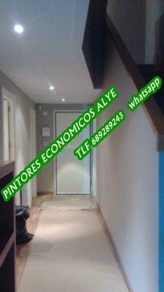 pintores economicos en  alcorcon 689289243 españoles