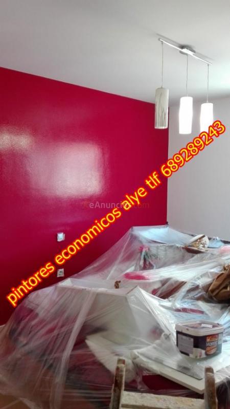 pintores economicos en boadilla del monte 689289243