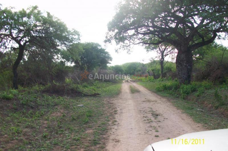 Vendo campo en Argentina 8700ha