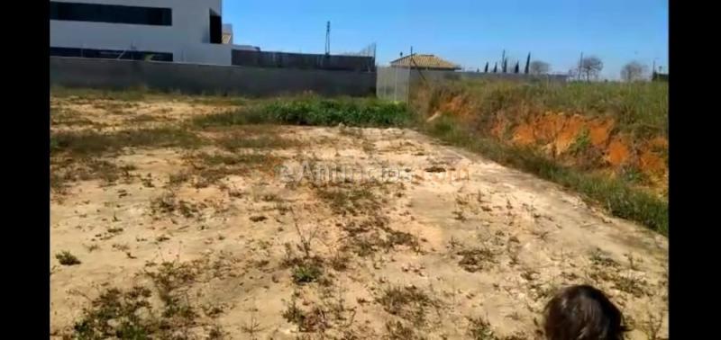 Dos solares contiguos en venta en calle Canela