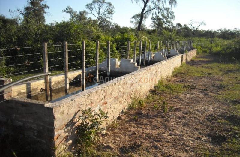 Finca en venta la susana.