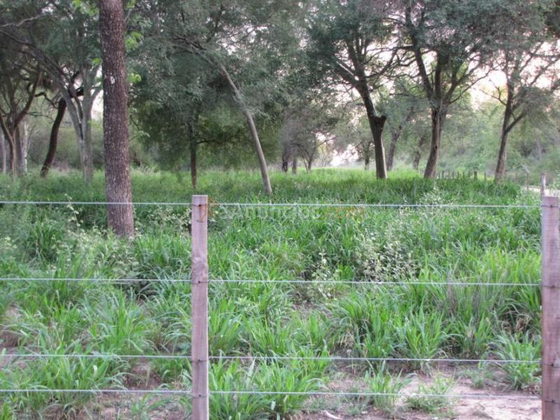 Finca en venta la susana.