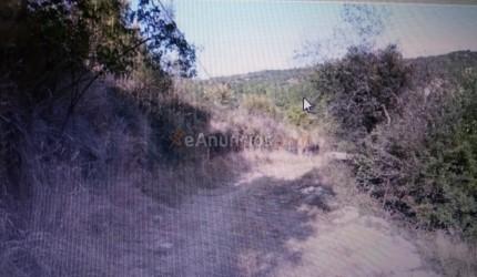 se vende coto de caza