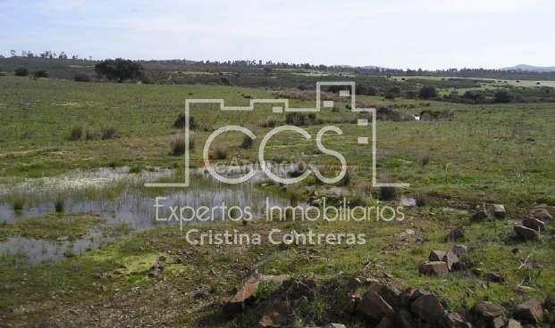 Venta de Finca de 1.587 ha en Cabezas Rubias (Huelva)