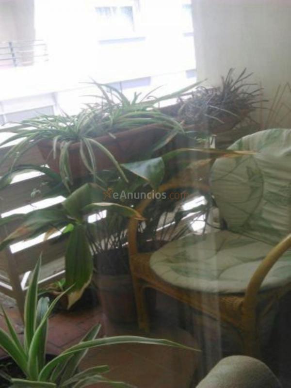 Apartamento en venta en Calle Pedro Antonio de Alarcón, Ronda - Arabial, Granada